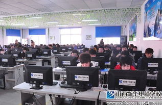 行業(yè)前景成擇業(yè)關(guān)鍵 大學(xué)生為何青睞計(jì)算機(jī)信息技術(shù)咨詢服務(wù)